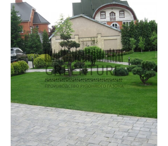 Устройство рулонного газона в частном доме - фото - 1